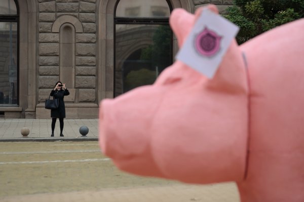 Снимка: Димитър Кьосемарлиев, Bulgaria ON AIR